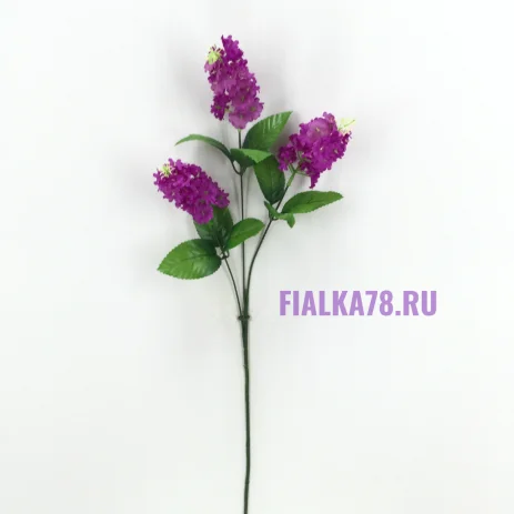 Сирень длинная (ветка)
