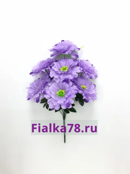 Хризантема Амадея (микс)