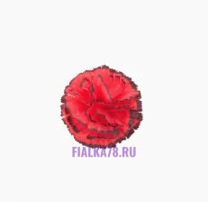 Выставка работ, копия, копия, копия, копия, копия, копия, копия, копия (75)