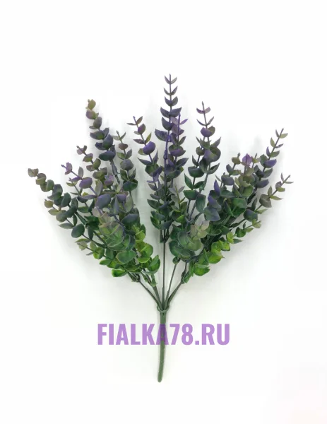 Эвкалипт цветной (7 веток)