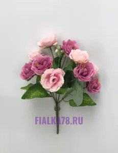 8 (20)