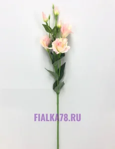 9 (2)
