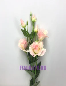 9 (3)