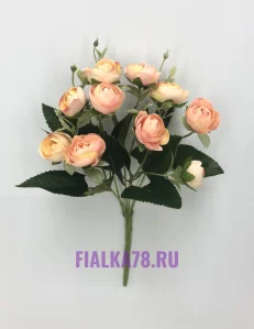 9 (17)