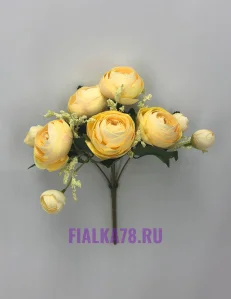 11 (8)