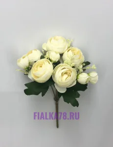 11 (9)