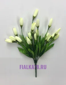 11 (11)