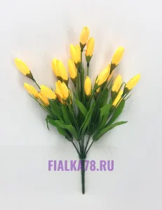 11 (13)