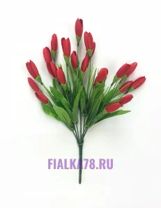 11 (14)