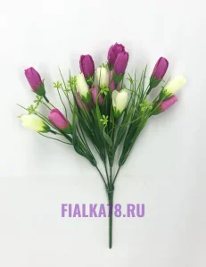 11 (2)