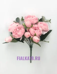 11 (10)