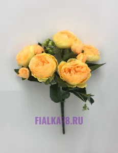 11 (11)