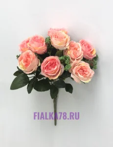 11 (13)