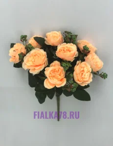 11 (14)