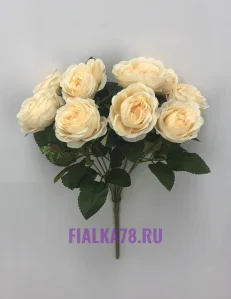 11 (15)