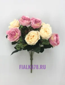 11 (16)