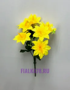 12 (3)