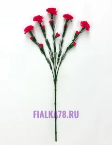 15 (12)