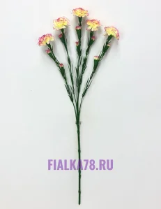 15 (13)