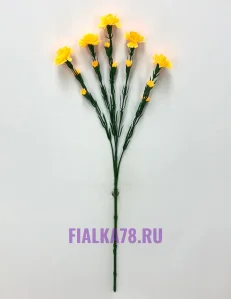 15 (15)