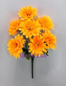 42 (10)