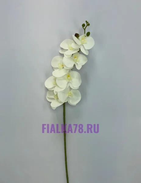 44 (37)
