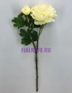 47 (1)