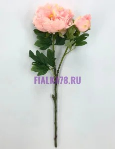 47 (2)