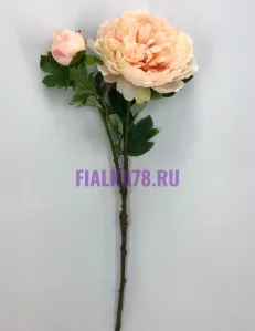 47 (3)