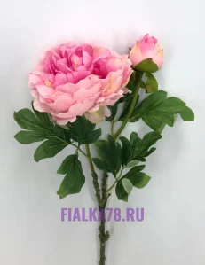 47 (5)