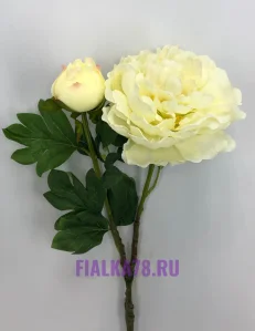 47 (8)
