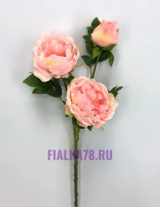 46 (27)