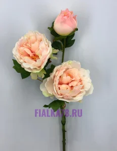 46 (30)