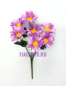 50 (1)