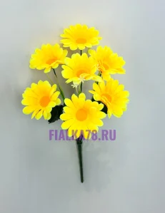 50 (2)