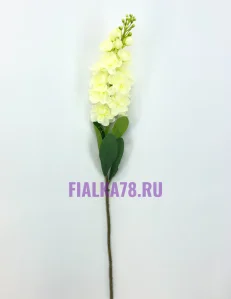 53 (2)