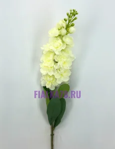 53 (3)