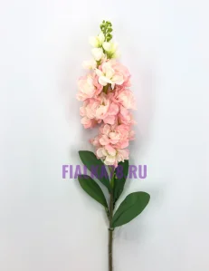 53 (8)
