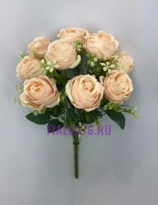 53 (14)