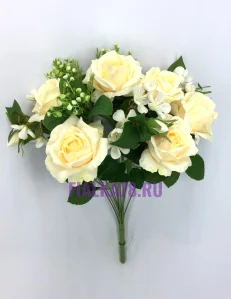 54 (10)