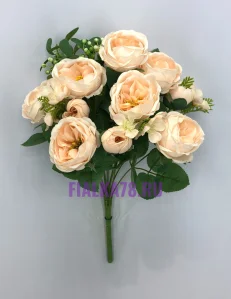 56 (29)