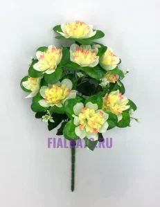 58 (11)