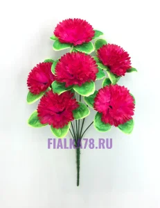 58 (19)