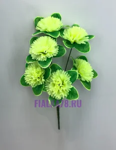 58 (24)