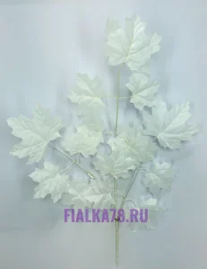 58 (27)