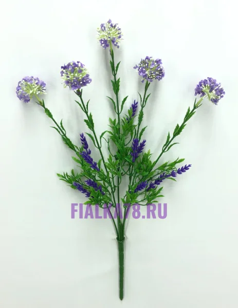 58 (1)