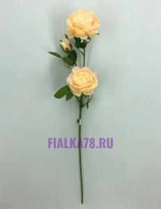 60 (83)