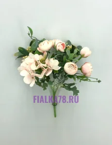 61 (11)