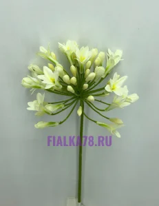 60 (91)