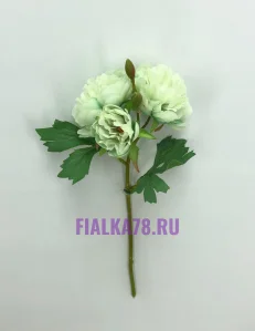 60 (100)